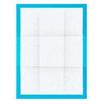 PURLOV 17213 Tréninkové absorpční podložky 33x45cm 100 ks + 30 sáčků