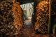 Příprava dřeva na zimu a topení v kamnech - klíč k úspornému a ekologickému vytápění
