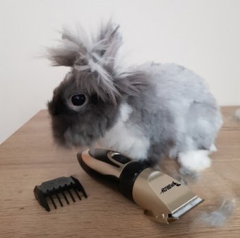 PURLOV 24089 Stříhací strojek na úpravu srsti