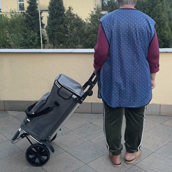 MALATEC 23187 Nákupní taška na kolečkách 40 L