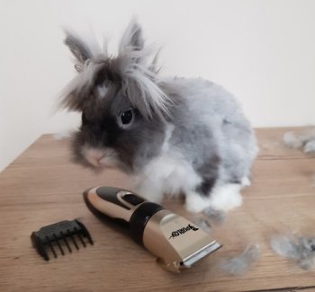 PURLOV 24089 Stříhací strojek na úpravu srsti