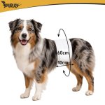 Jednorázové pleny pro psy Purlov 27792, velikost ML, 46–60 cm, 12 ks