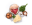 Chutná jídla na cesty