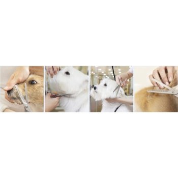 PURLOV 23186 Sada nůžek a příslušenství pro stříhání srsti